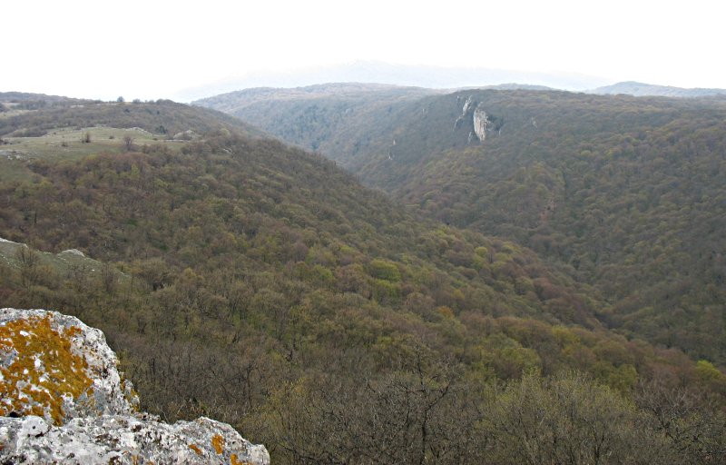 img_1468.jpg