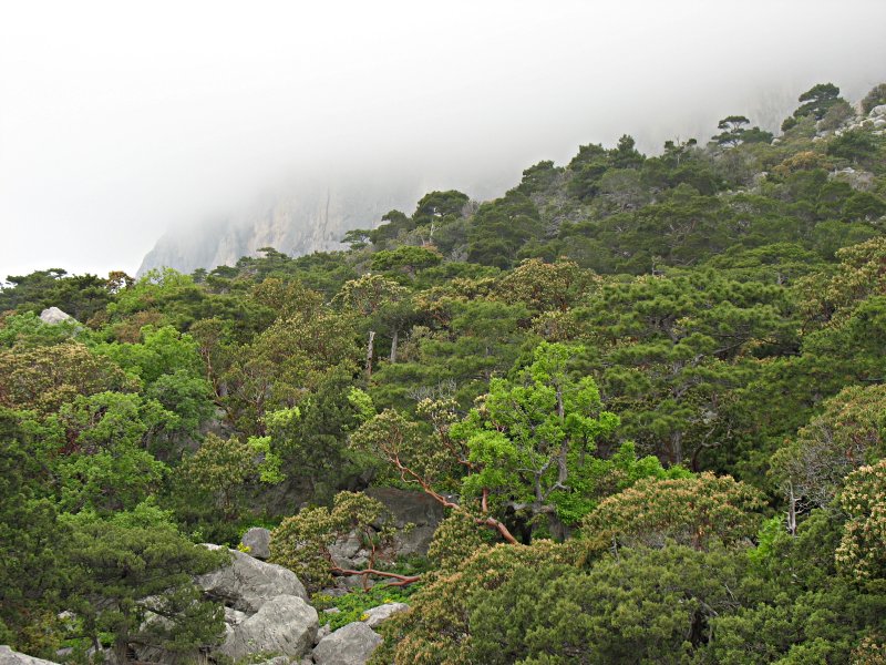 img_1664.jpg